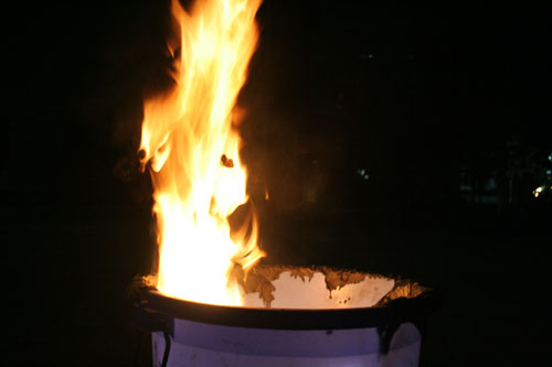 伟德bv国际体育