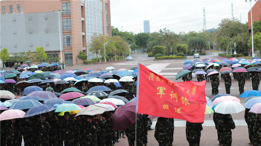 伟德bv国际体育