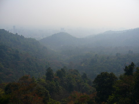 伟德bv国际体育