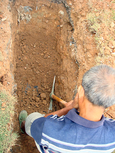 伟德bv国际体育