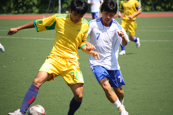 伟德bv国际体育