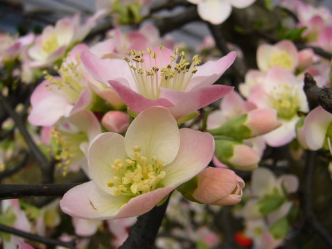 伟德bv国际体育