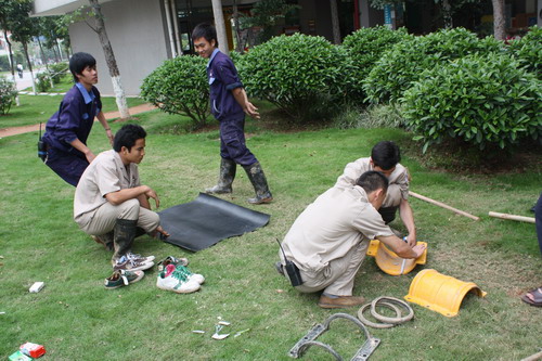 伟德bv国际体育