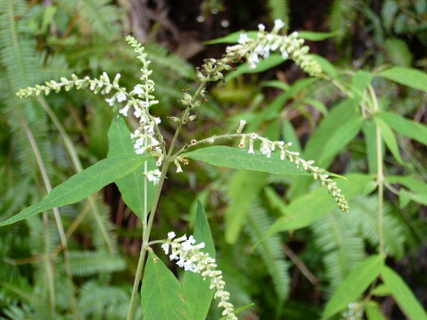 伟德bv国际体育