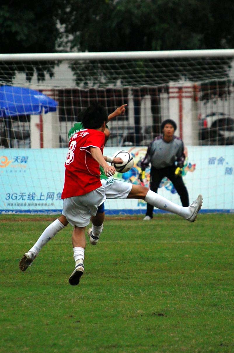 伟德bv国际体育