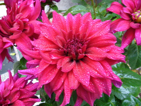 伟德bv国际体育