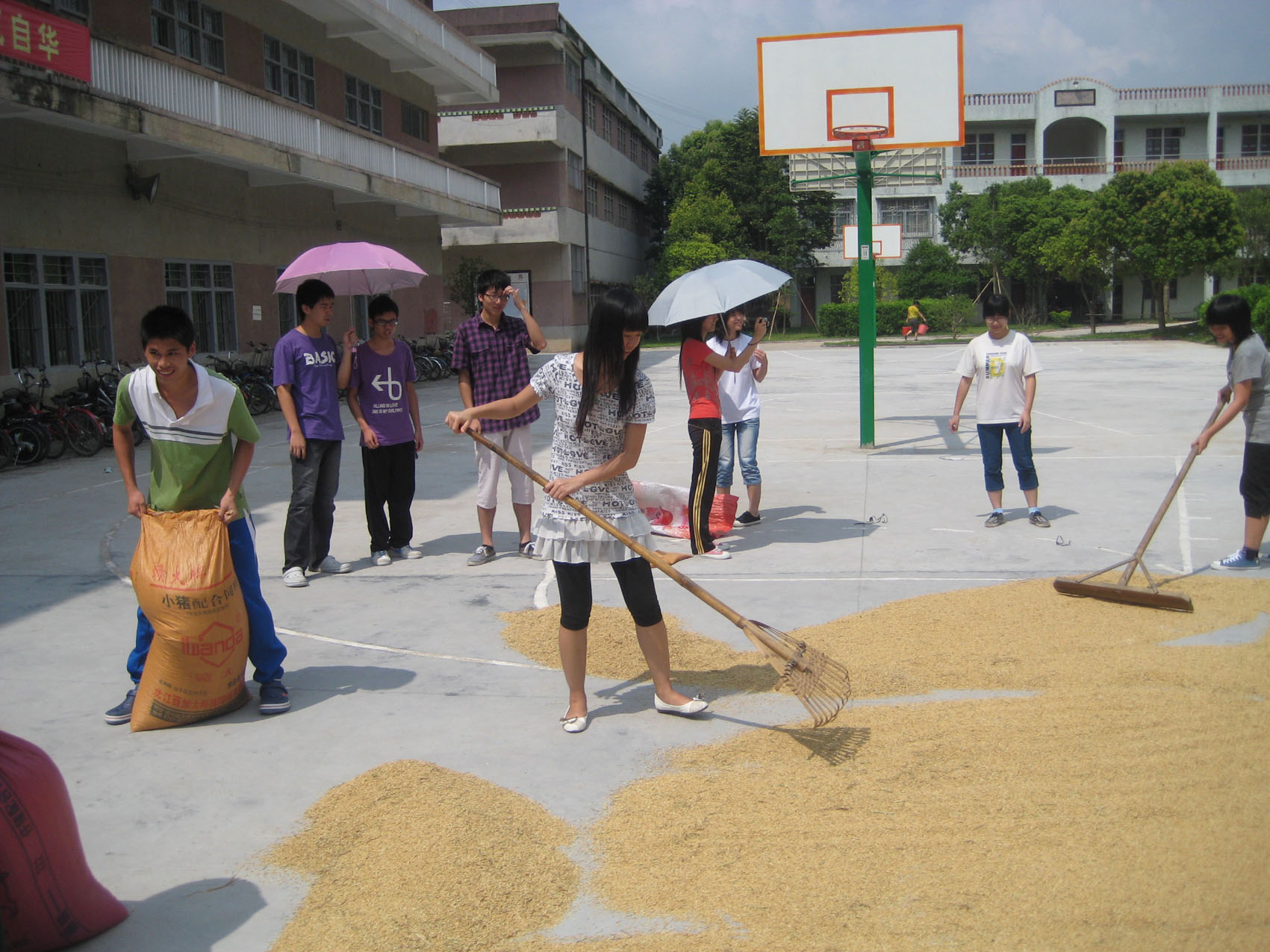 伟德bv国际体育
