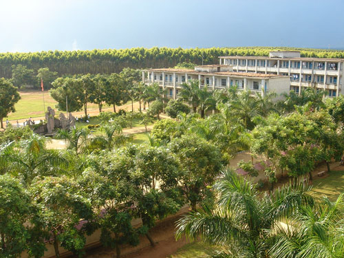 伟德bv国际体育