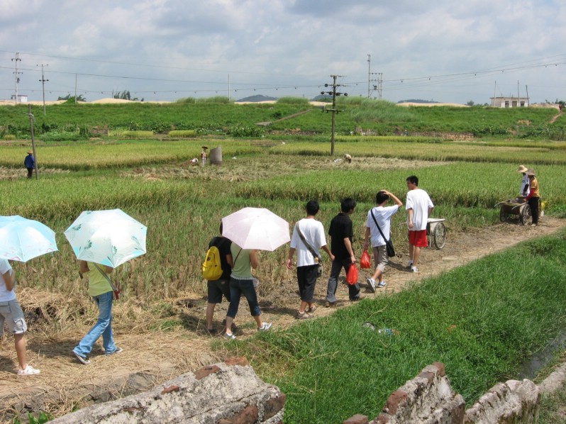 伟德bv国际体育