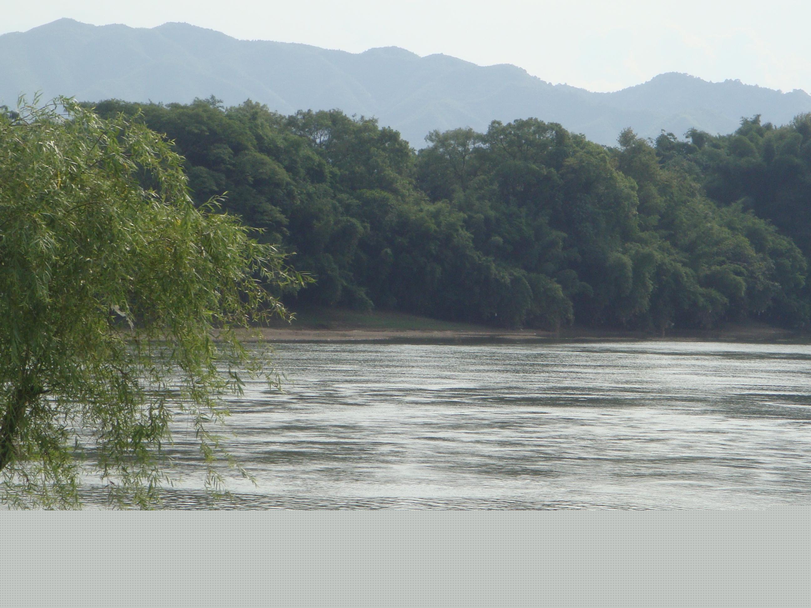 伟德bv国际体育