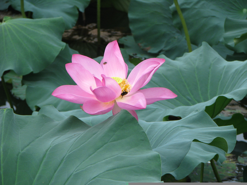 伟德bv国际体育