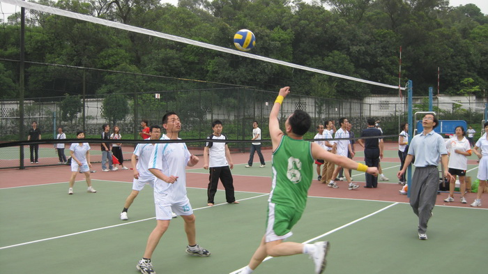 伟德bv国际体育