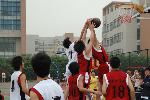 伟德bv国际体育