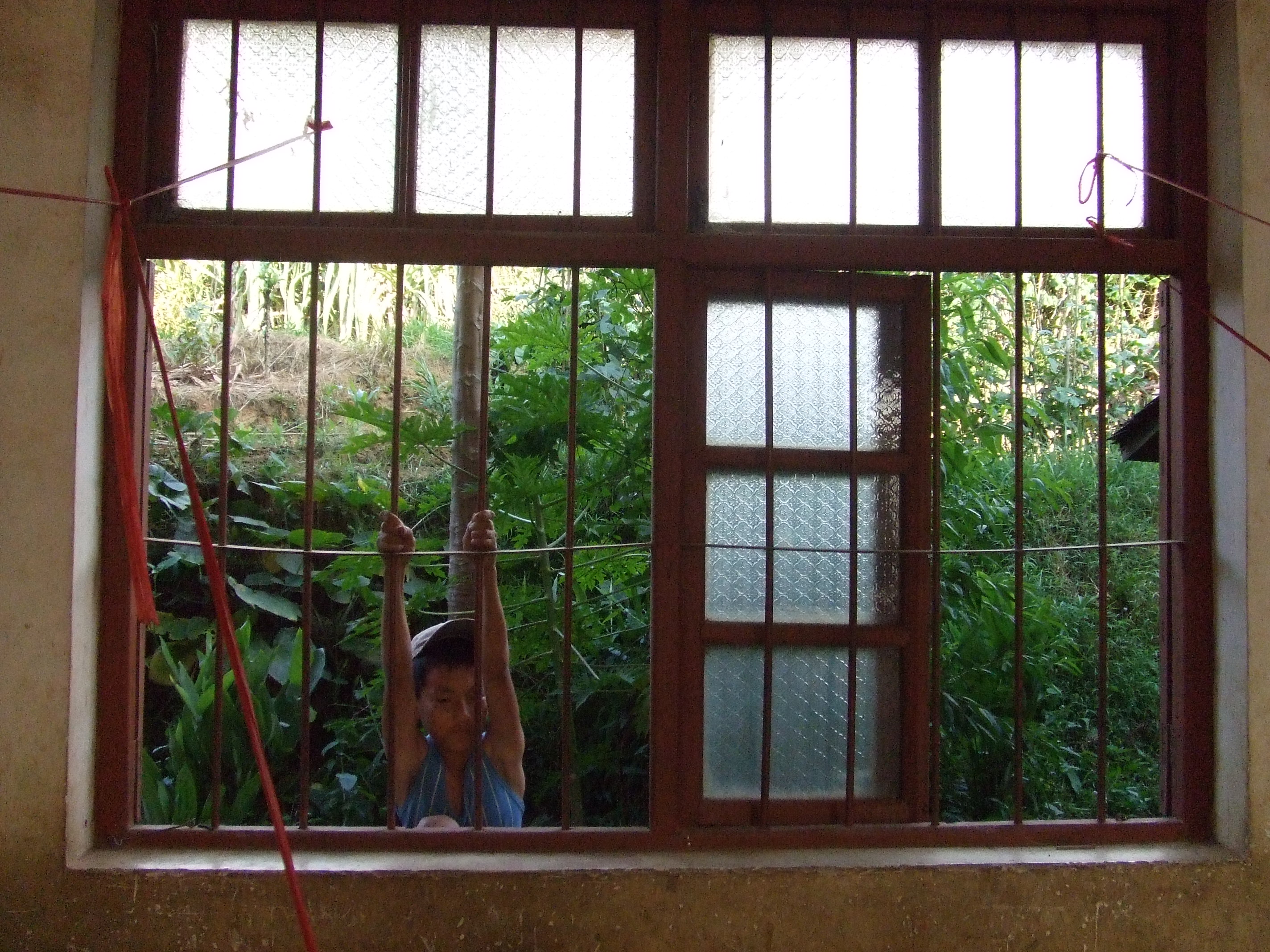 伟德bv国际体育