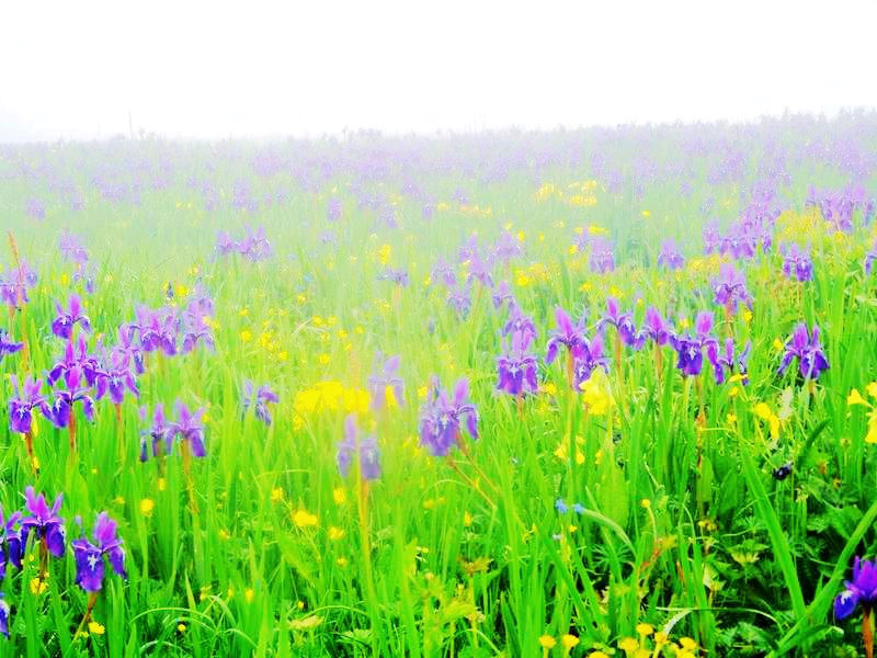 伟德bv国际体育