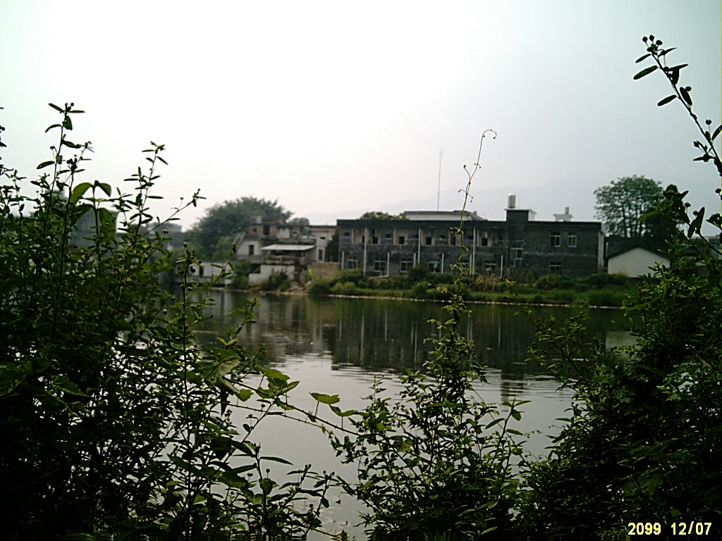 伟德bv国际体育