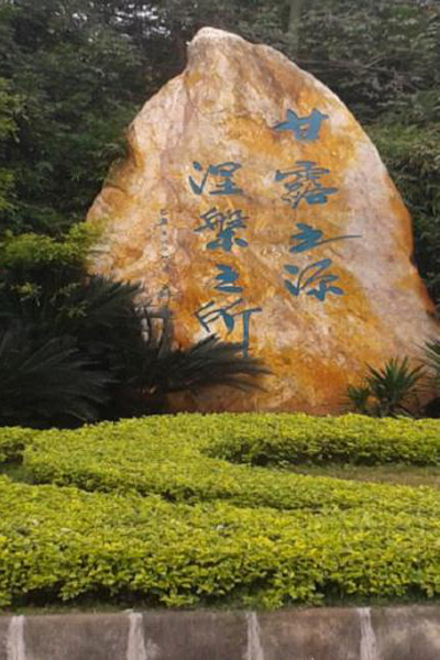 伟德bv国际体育