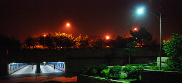 伟德bv国际体育