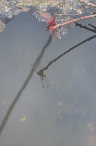 伟德bv国际体育