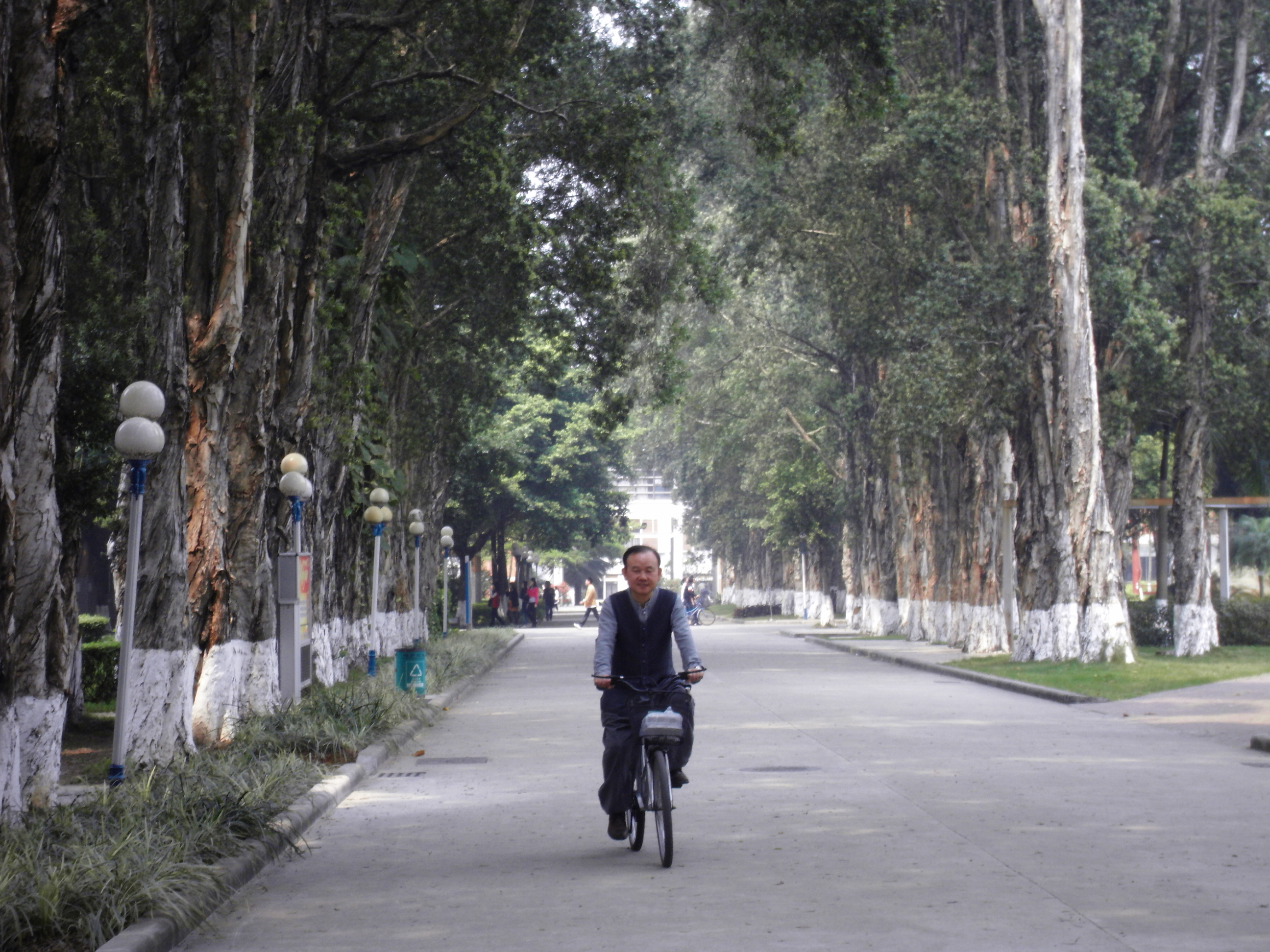 伟德bv国际体育