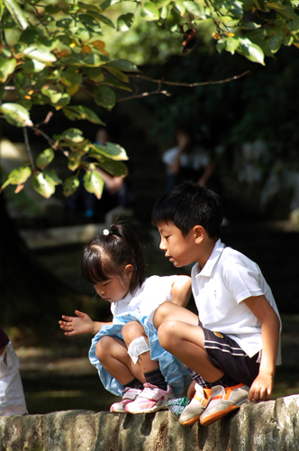 伟德bv国际体育