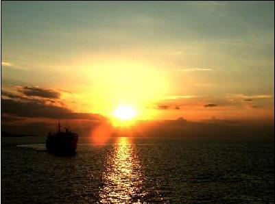 伟德bv国际体育