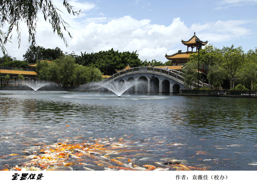 伟德bv国际体育