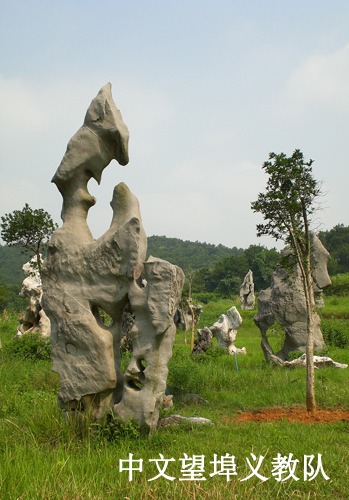 伟德bv国际体育