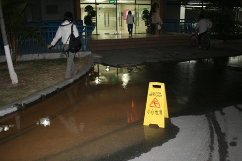 伟德bv国际体育