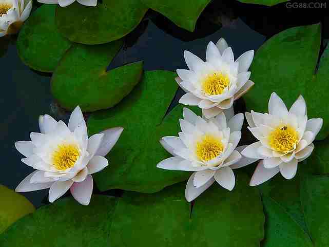 伟德bv国际体育