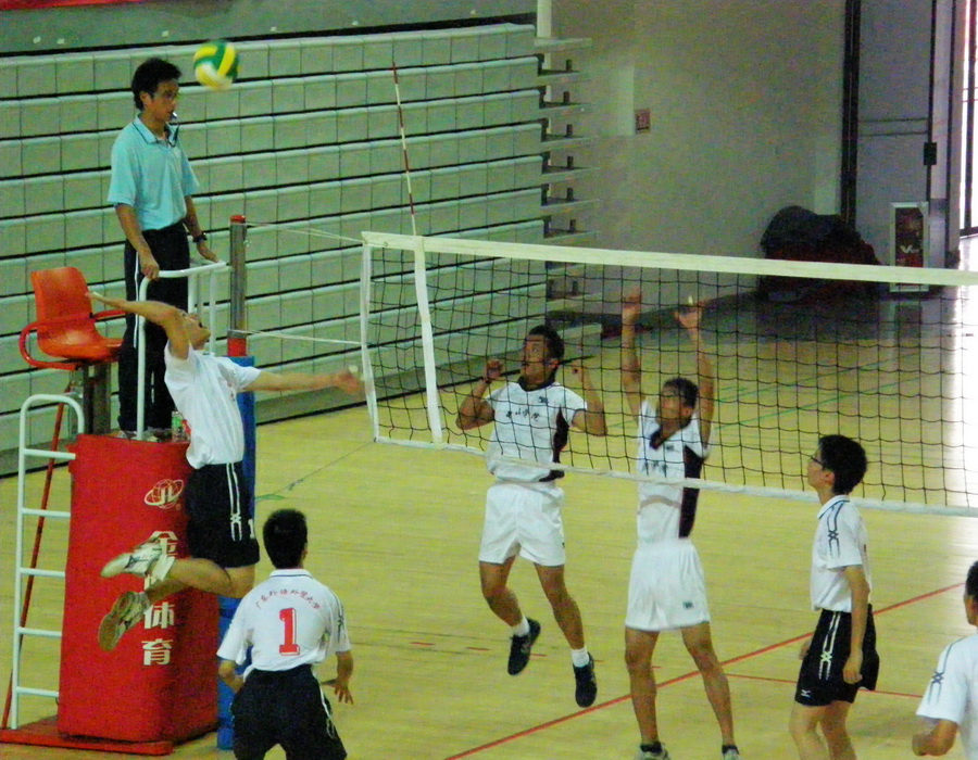 伟德bv国际体育