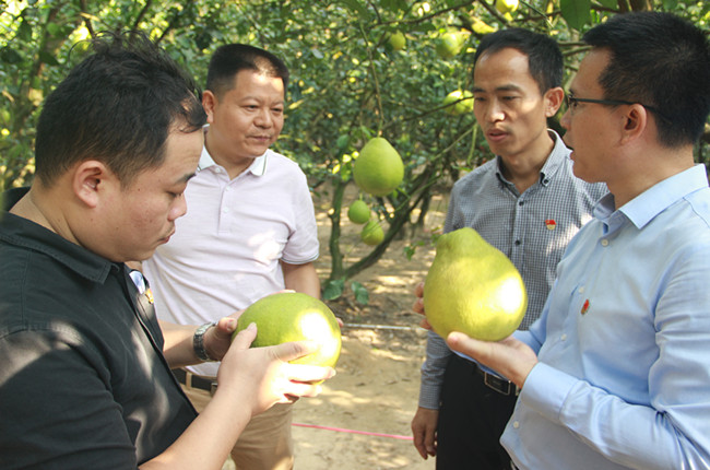 伟德bv国际体育