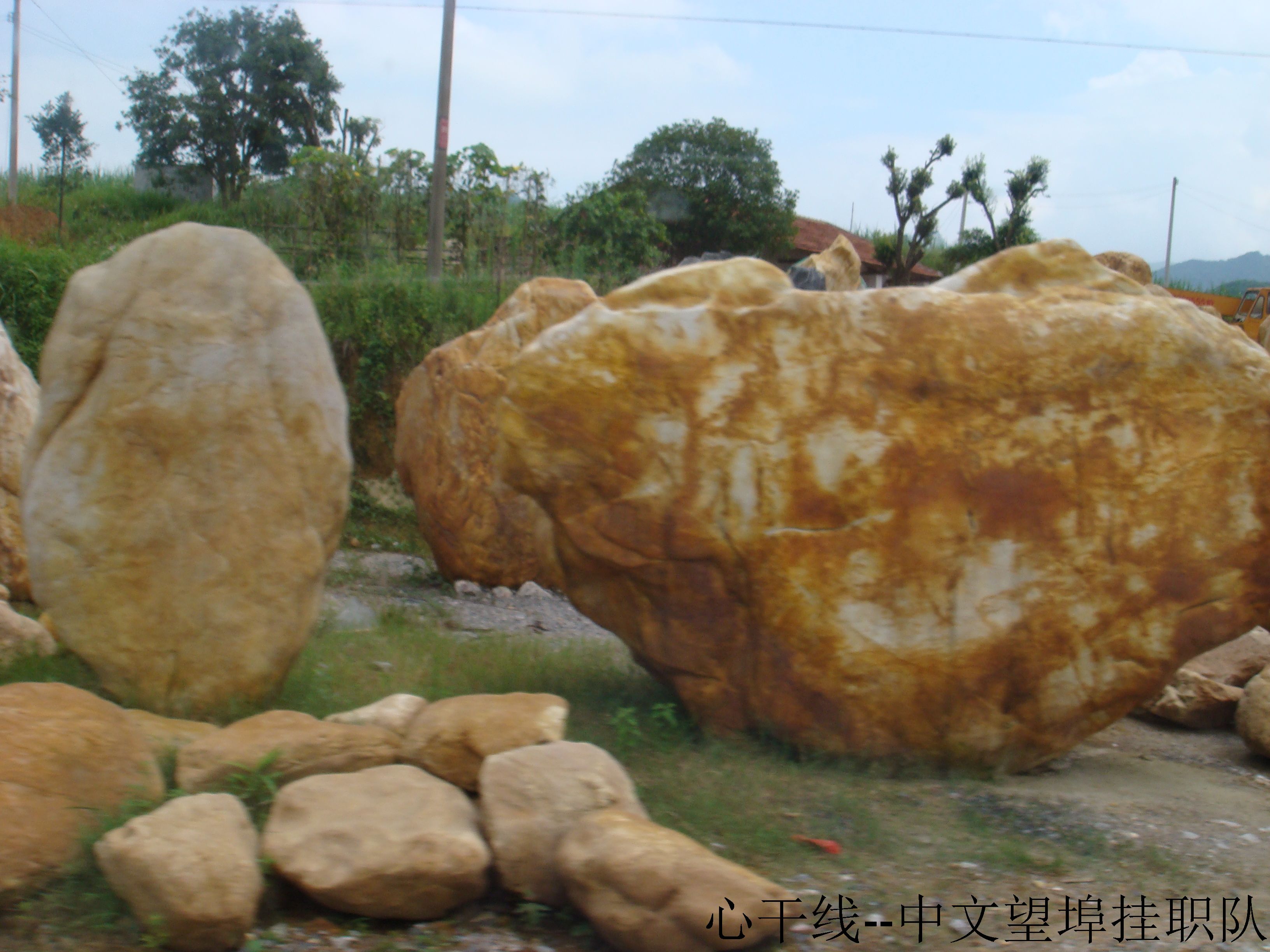 伟德bv国际体育