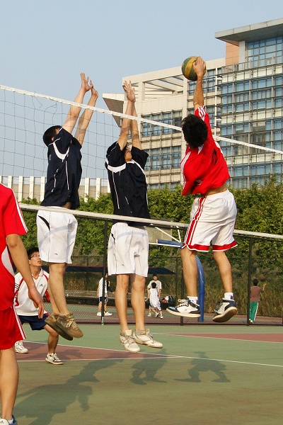 伟德bv国际体育