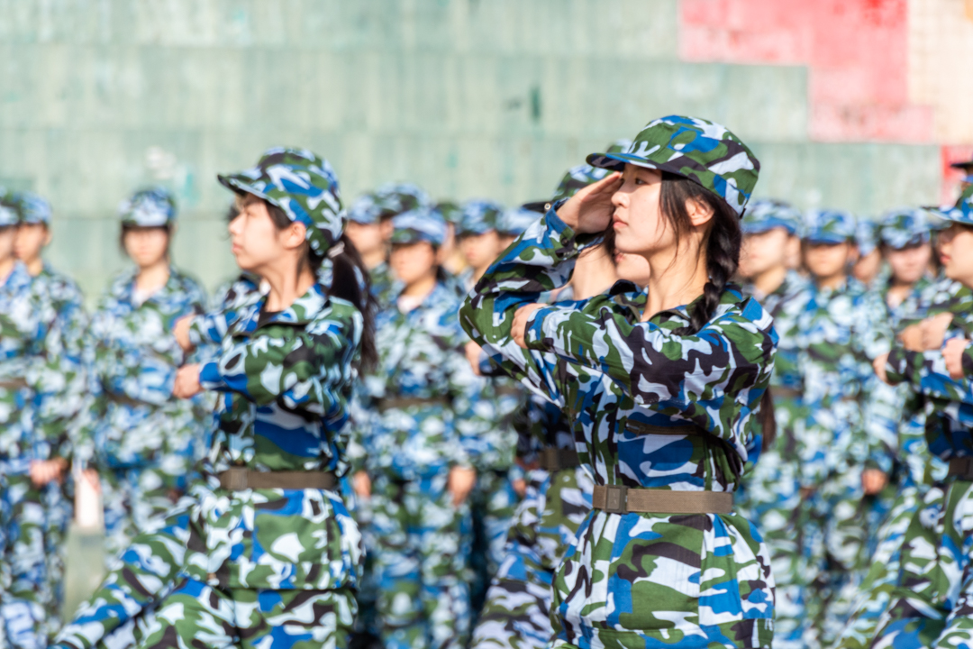 伟德bv国际体育