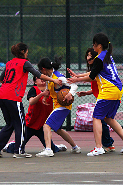 伟德bv国际体育