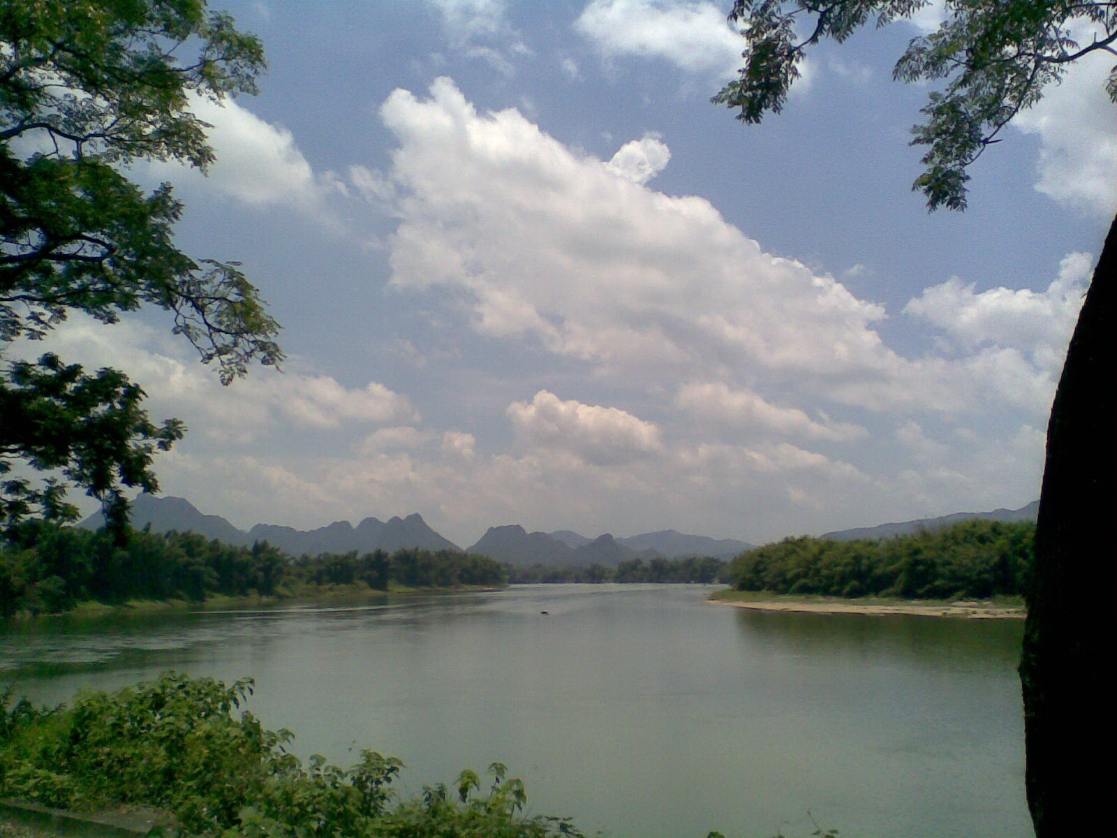 伟德bv国际体育