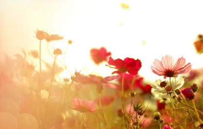 伟德bv国际体育