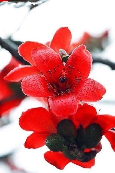 伟德bv国际体育