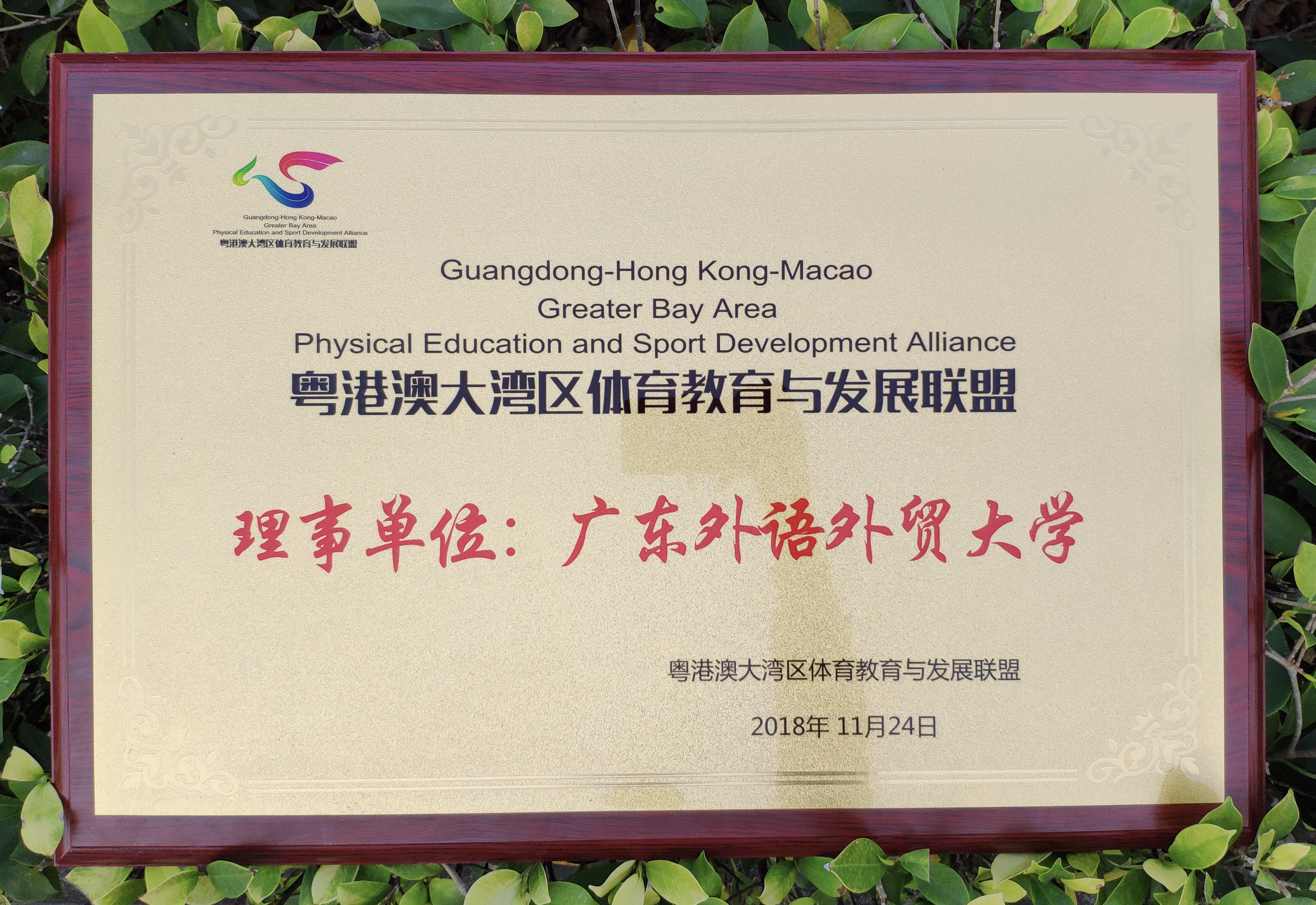 伟德bv国际体育