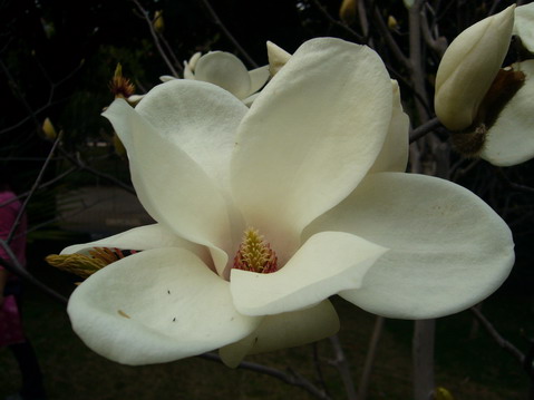 伟德bv国际体育