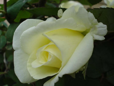 伟德bv国际体育