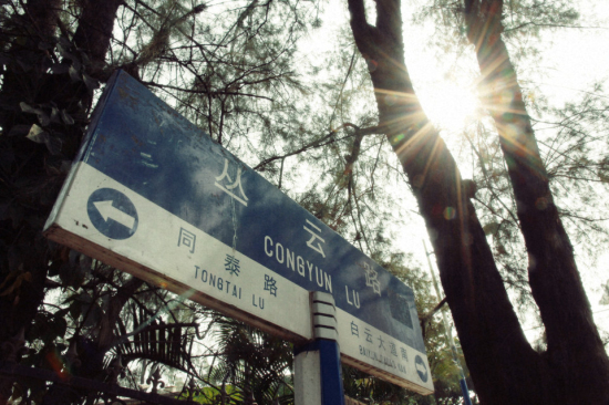 伟德bv国际体育