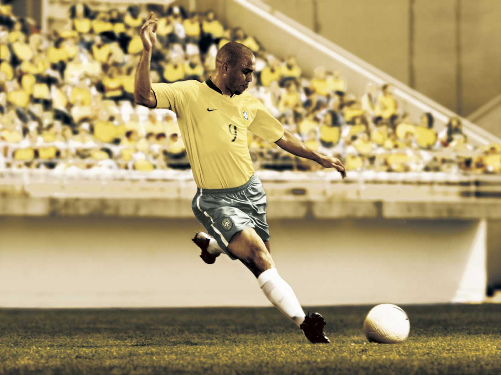 伟德bv国际体育