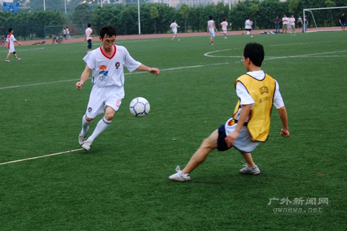 伟德bv国际体育