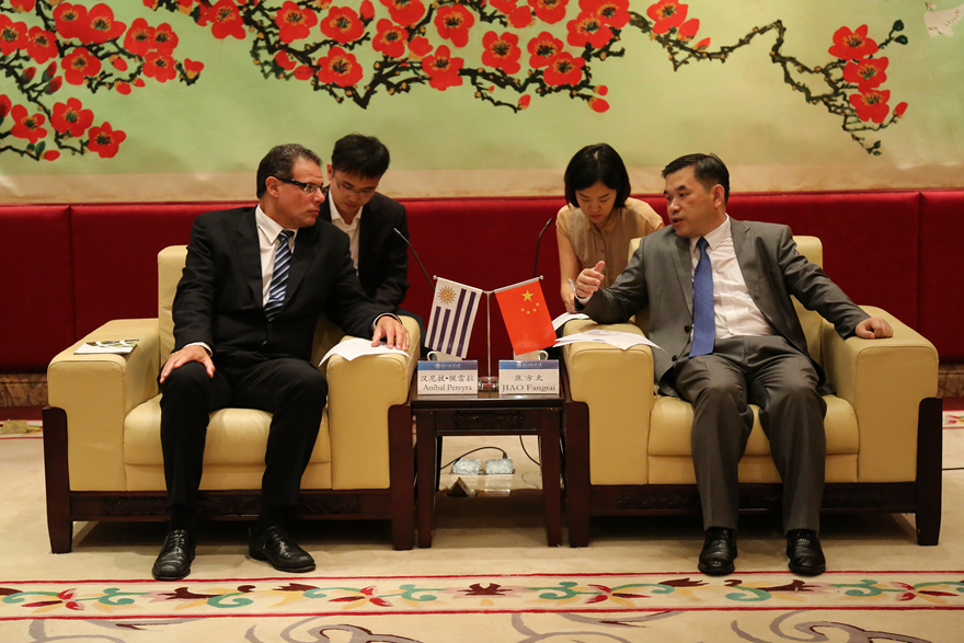 伟德bv国际体育