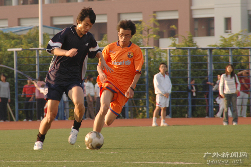 伟德bv国际体育