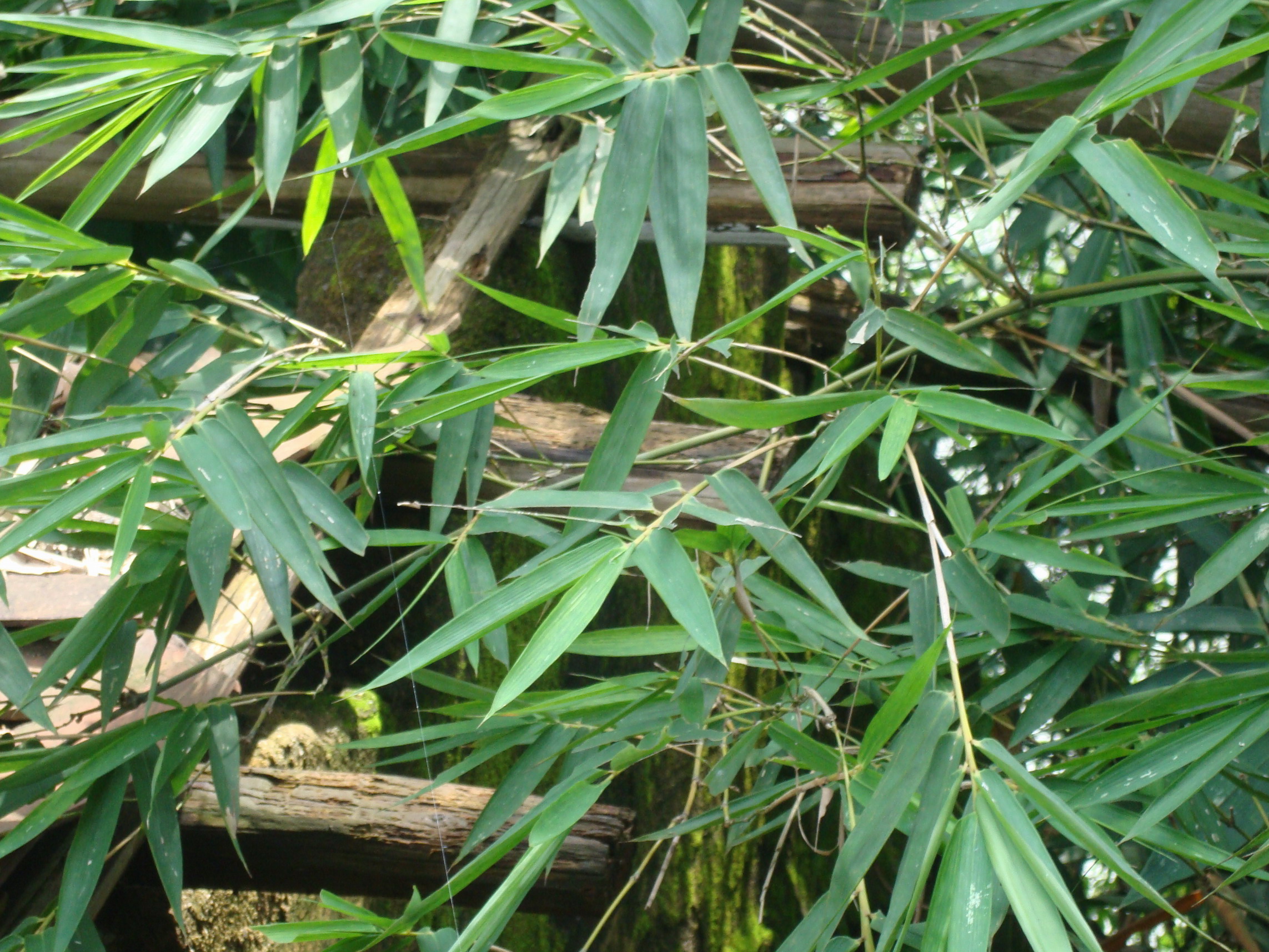 伟德bv国际体育