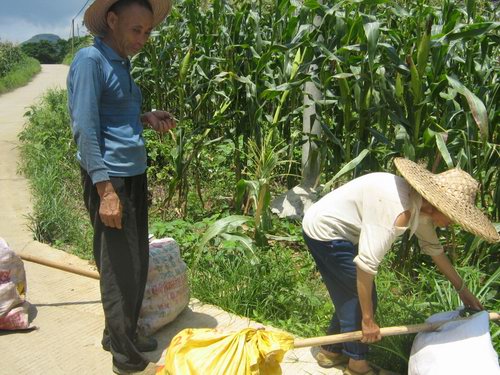 伟德bv国际体育