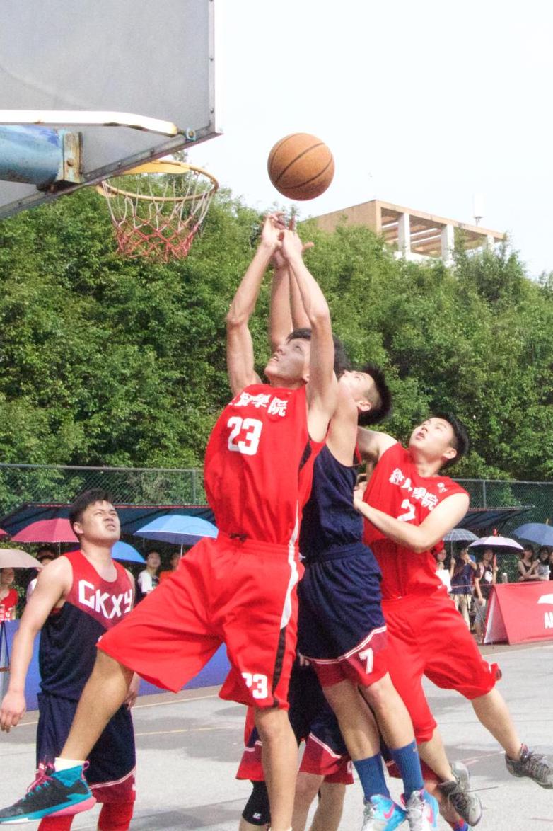 伟德bv国际体育